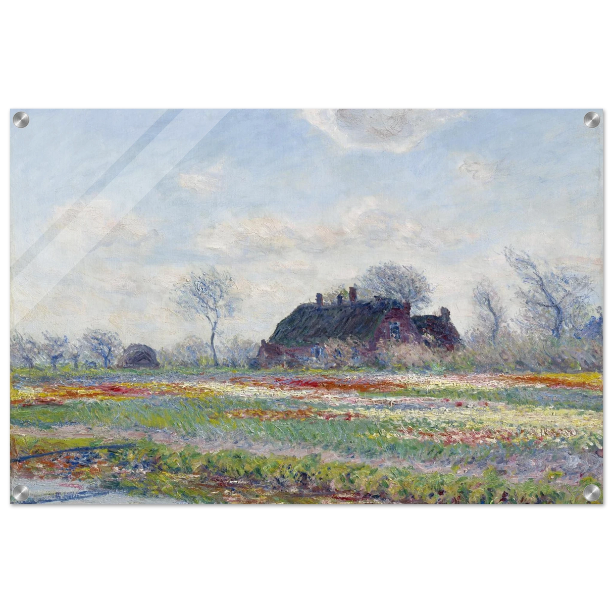 1d706469-433d-4dfb-bab3-d44ad53bea14