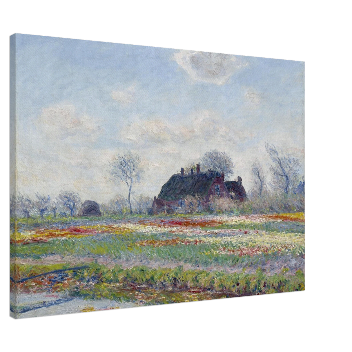 249740ed-5b23-4353-83c2-839671af880a