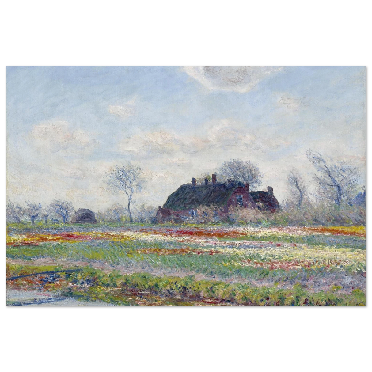 40337ef5-5eed-46f0-bd4a-dd807cb70a21