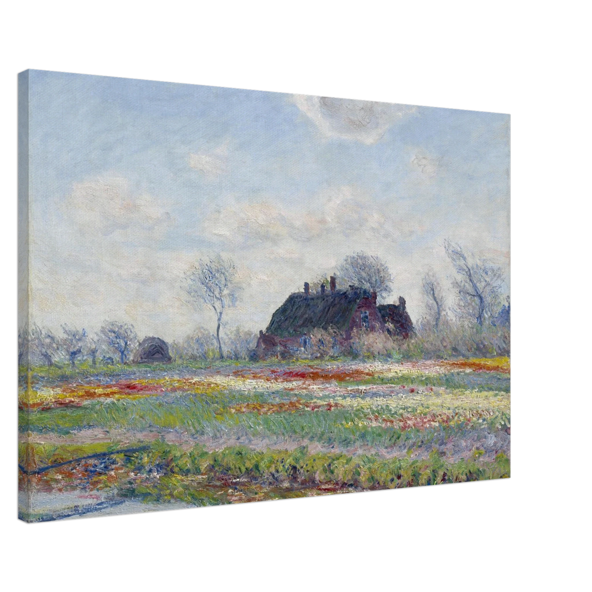 51f8e514-3cf0-4877-8127-00fbd015198c