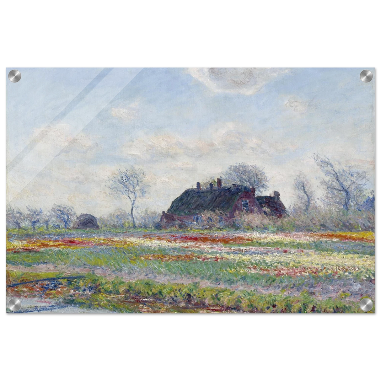 586e4a40-eaa9-44c4-8b52-4550cc5c808b