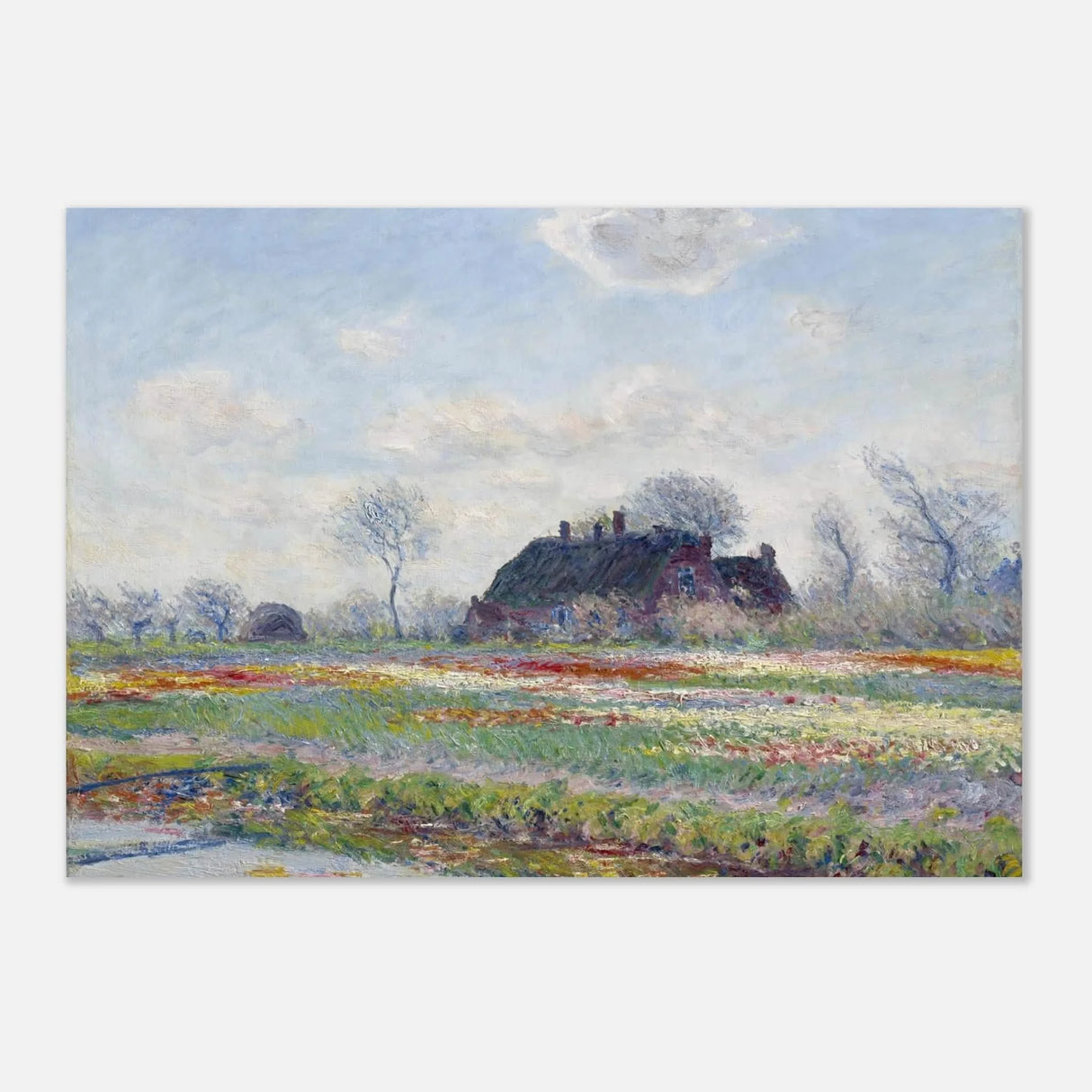 5df117c2-77c8-43f5-87ed-47a137cfd584