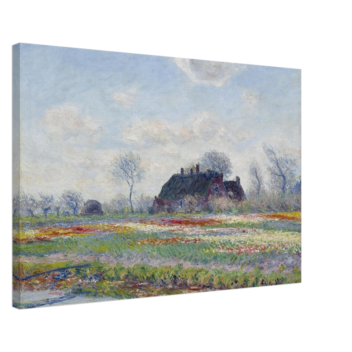 7bdb5587-0c03-4d73-a248-19f2ac830bb8