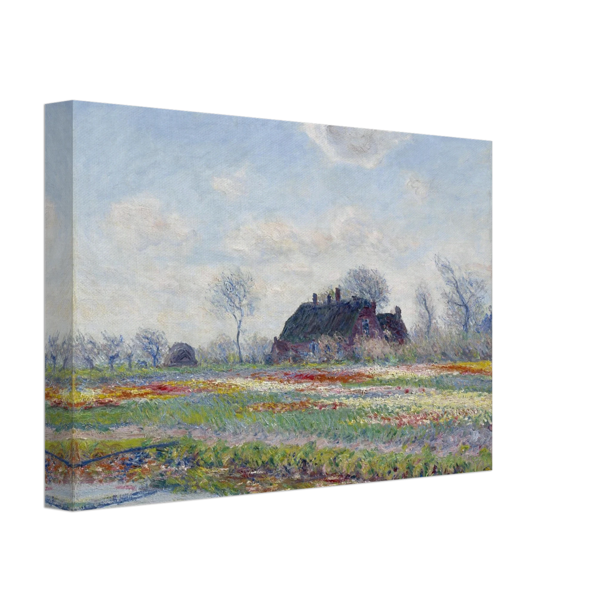 890e108e-c7c1-44da-9d35-72d65d3f9add