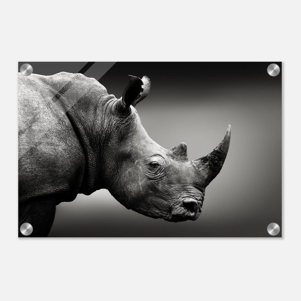 animal kingdom wall art print collection rhino