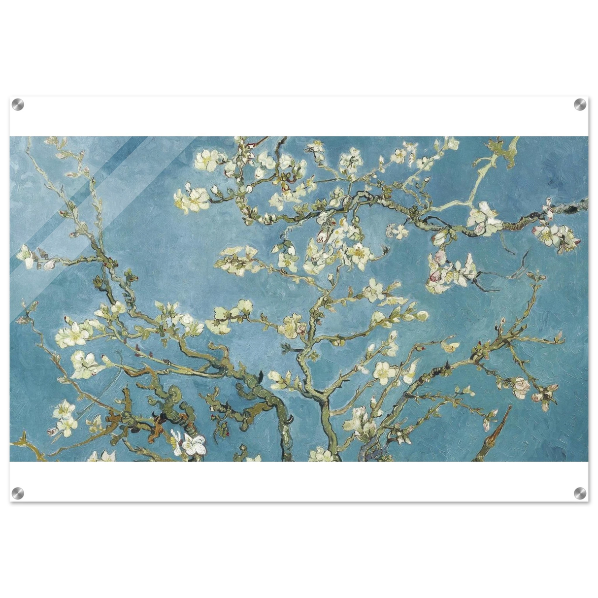 Almond Blossom Serenity – Van Gogh Inspired Wall Art Print - Acrylic Print - 70x100 cm / 28x40″ -