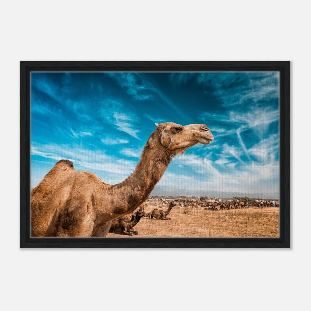 Animal Kingdom Wall art print collection | Camel - Framed Canvas - 40x60 cm / 16x24″ - Black frame