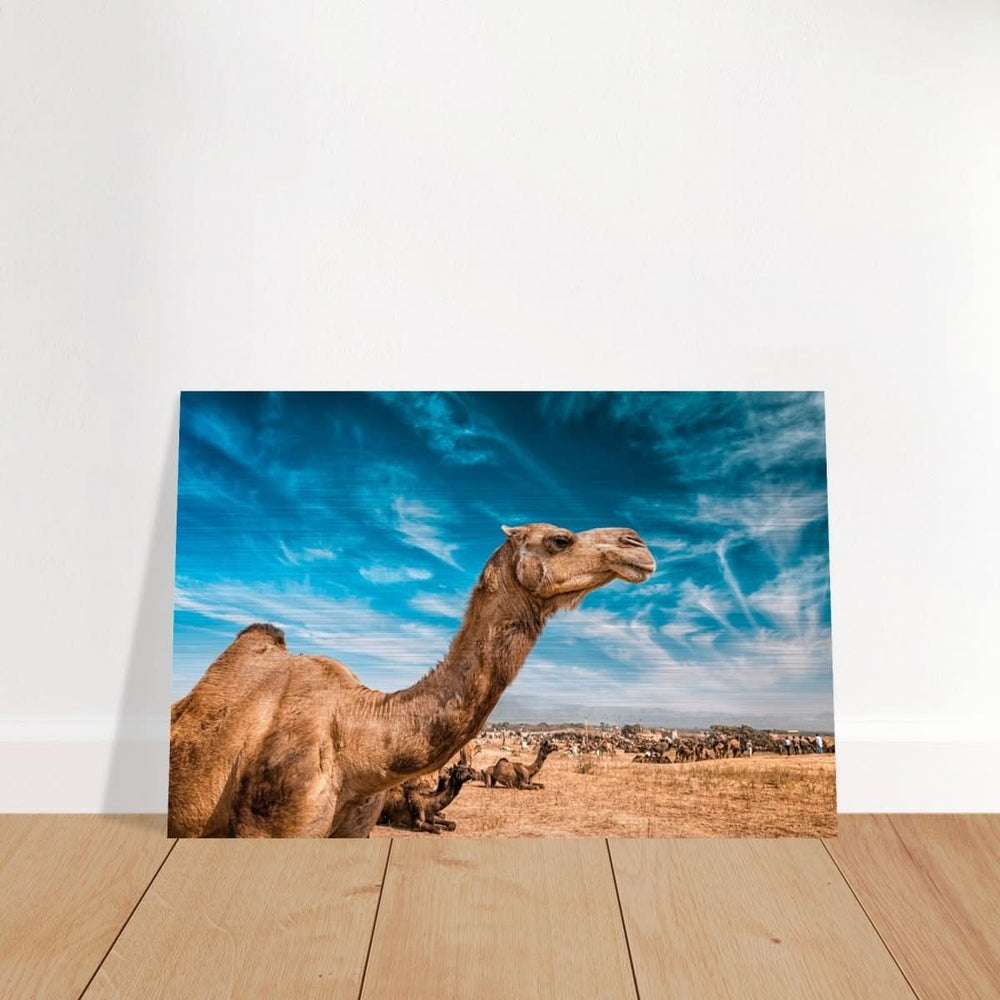 Animal Kingdom Wall art print collection | Camel - Brushed Aluminum Print - 50x75 cm / 20x30″ -