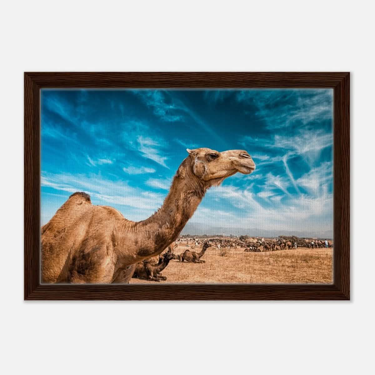 Animal Kingdom Wall art print collection | Camel - Framed Canvas - 30x45 cm / 12x18″ - Dark wood frame