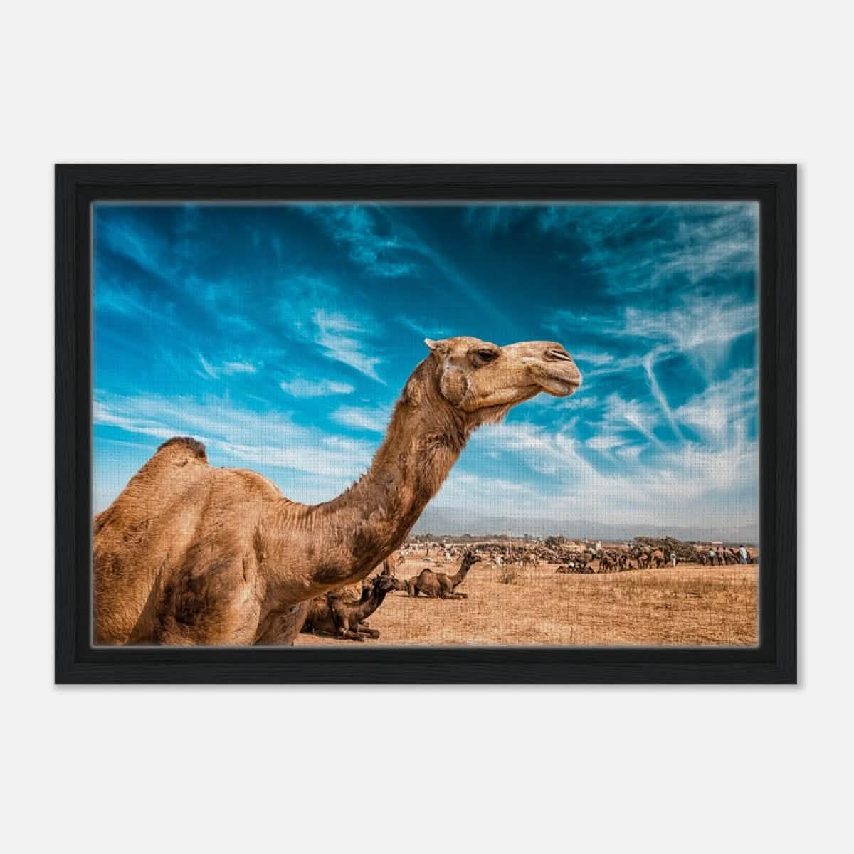 Animal Kingdom Wall art print collection | Camel - Framed Canvas - 30x45 cm / 12x18″ - Black frame