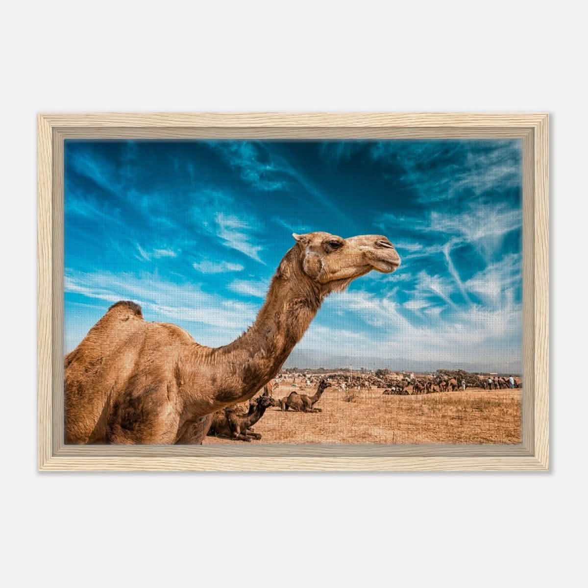 Animal Kingdom Wall art print collection | Camel - Framed Canvas - 30x45 cm / 12x18″ - Wood frame