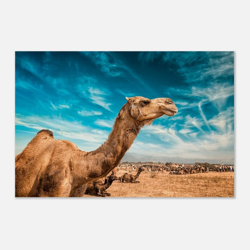 Animal Kingdom Wall art print collection | Camel - Wood Prints - 30x45 cm / 12x18″ -