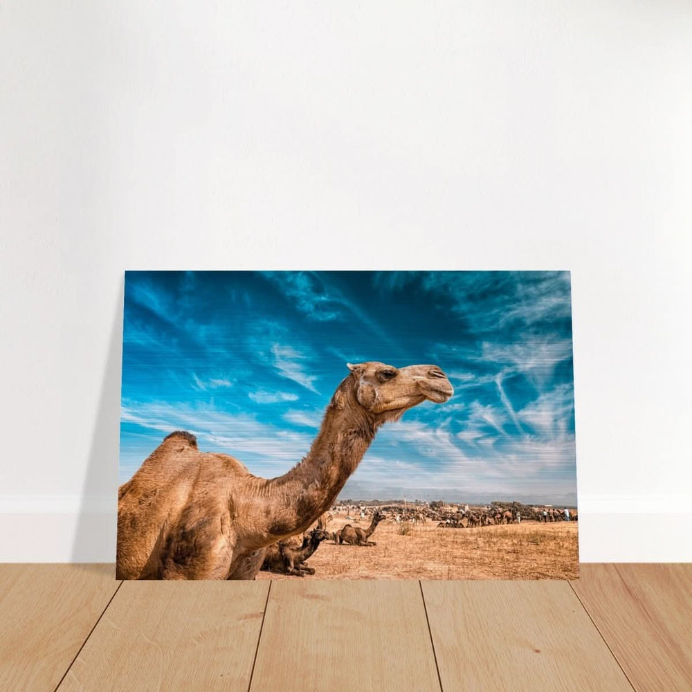 Animal Kingdom Wall art print collection | Camel - Brushed Aluminum Print - 30x45 cm / 12x18″ -