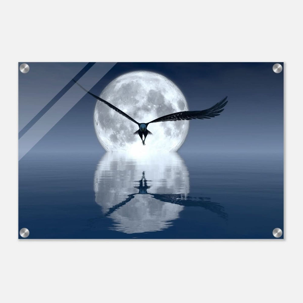 Animal Kingdom Wall art print collection | Eagle - Acrylic Print - 40x60 cm / 16x24″ -