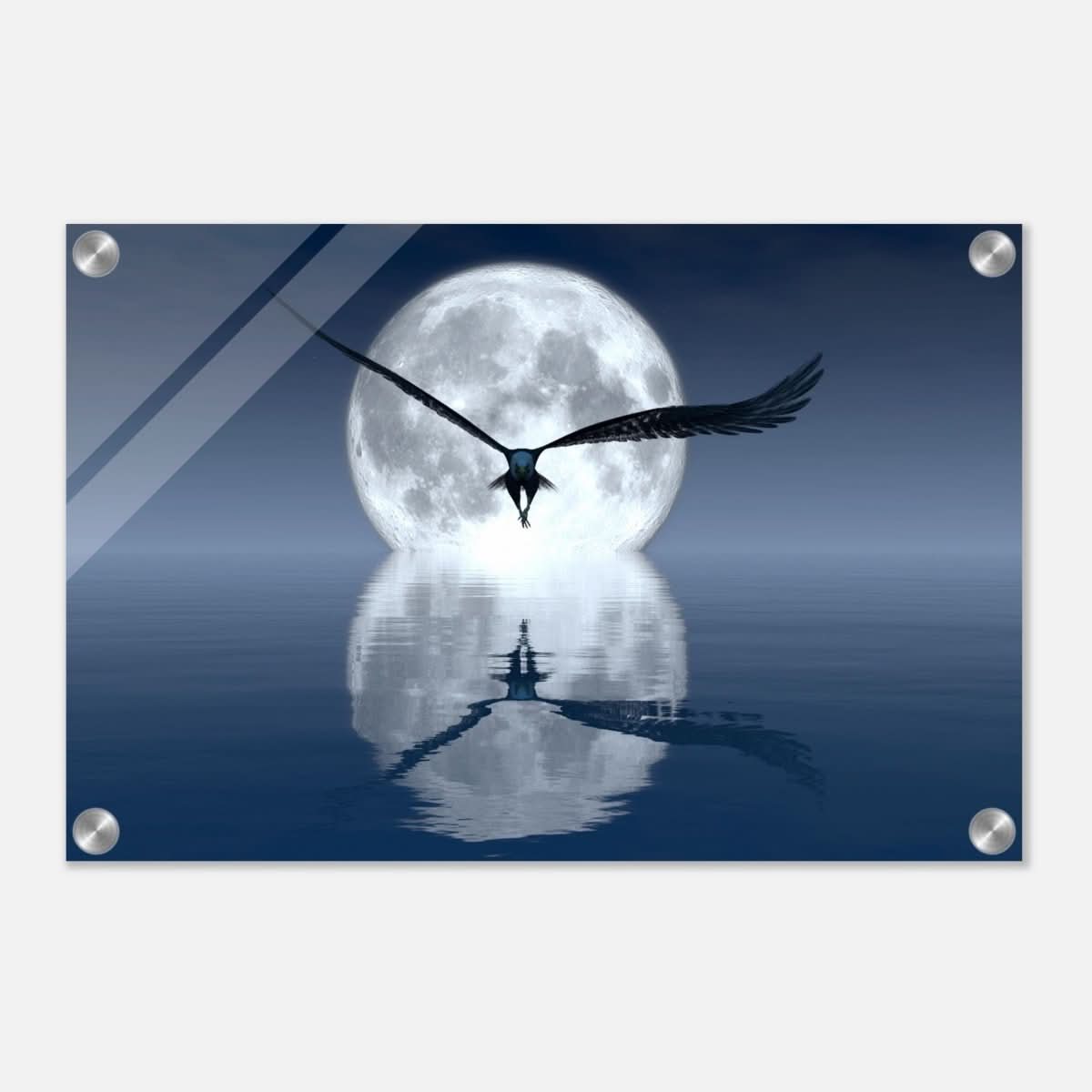 Animal Kingdom Wall art print collection | Eagle - Acrylic Print - 30x45 cm / 12x18″ -