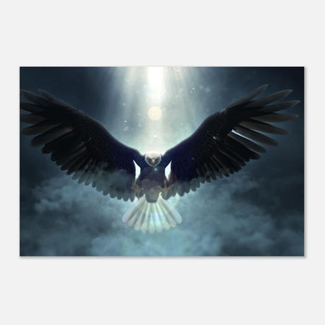 Animal Kingdom Wall art print collection | Eagle - Aluminum Print - 50x75 cm / 20x30″ -