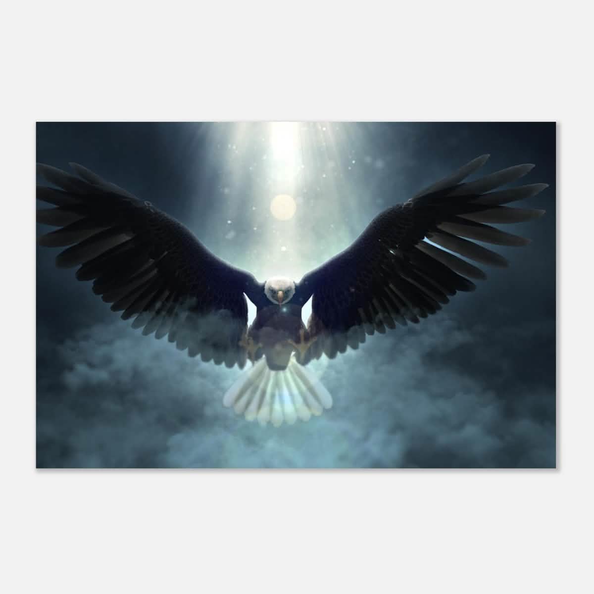 Animal Kingdom Wall art print collection | Eagle - Aluminum Print - 50x75 cm / 20x30″ -