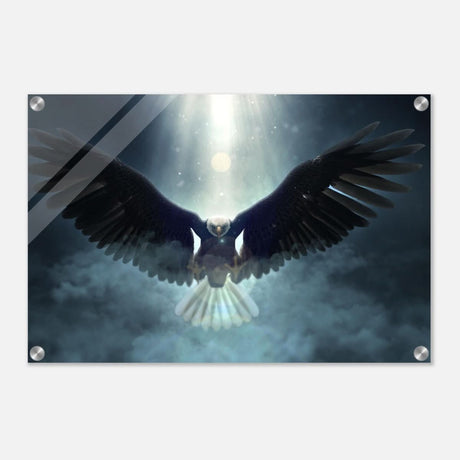 Animal Kingdom Wall art print collection | Eagle - Acrylic Print - 40x60 cm / 16x24″ -