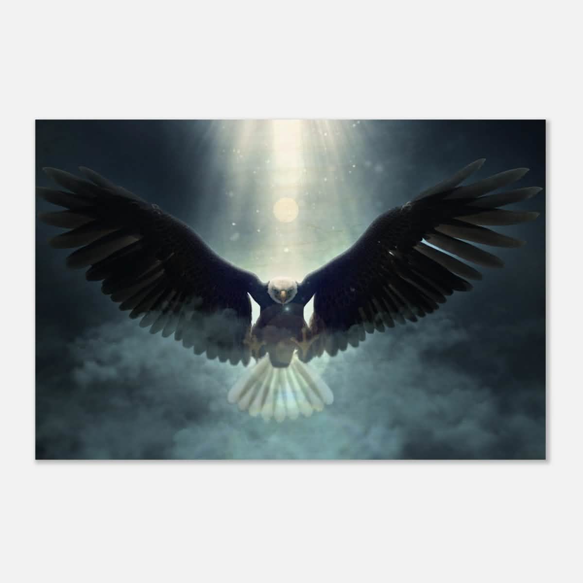 Animal Kingdom Wall art print collection | Eagle - Wood Prints - 40x60 cm / 16x24″ -