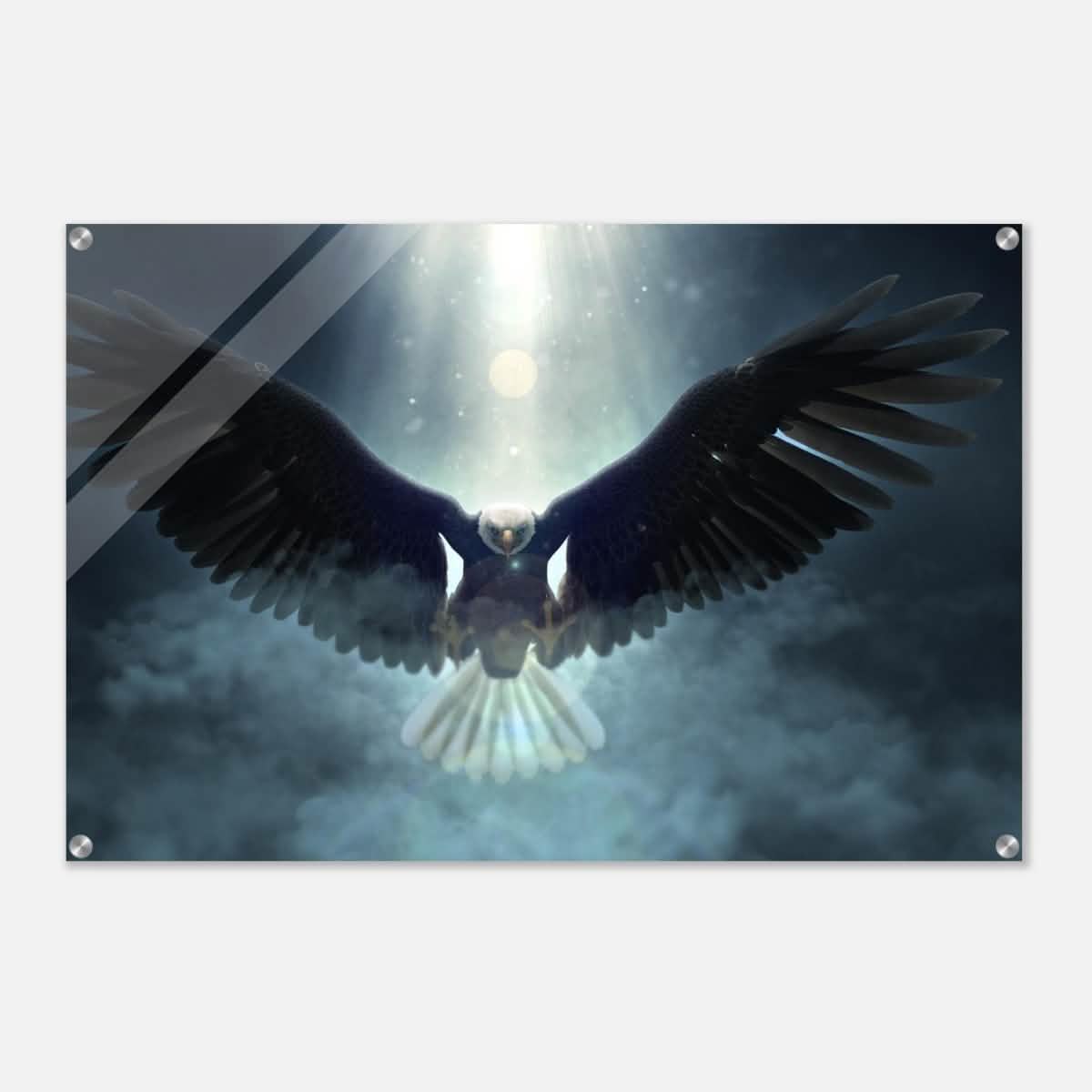 Animal Kingdom Wall art print collection | Eagle - Acrylic Print - 60x90 cm / 24x36″ -