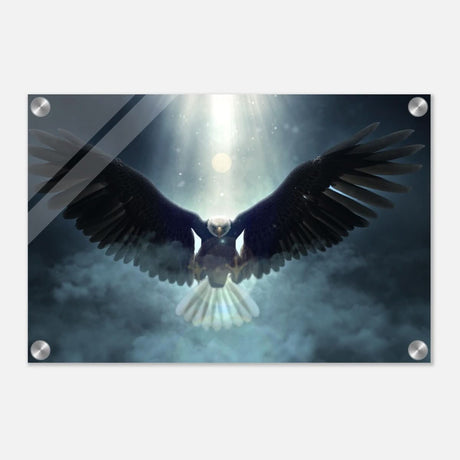 Animal Kingdom Wall art print collection | Eagle - Acrylic Print - 30x45 cm / 12x18″ -