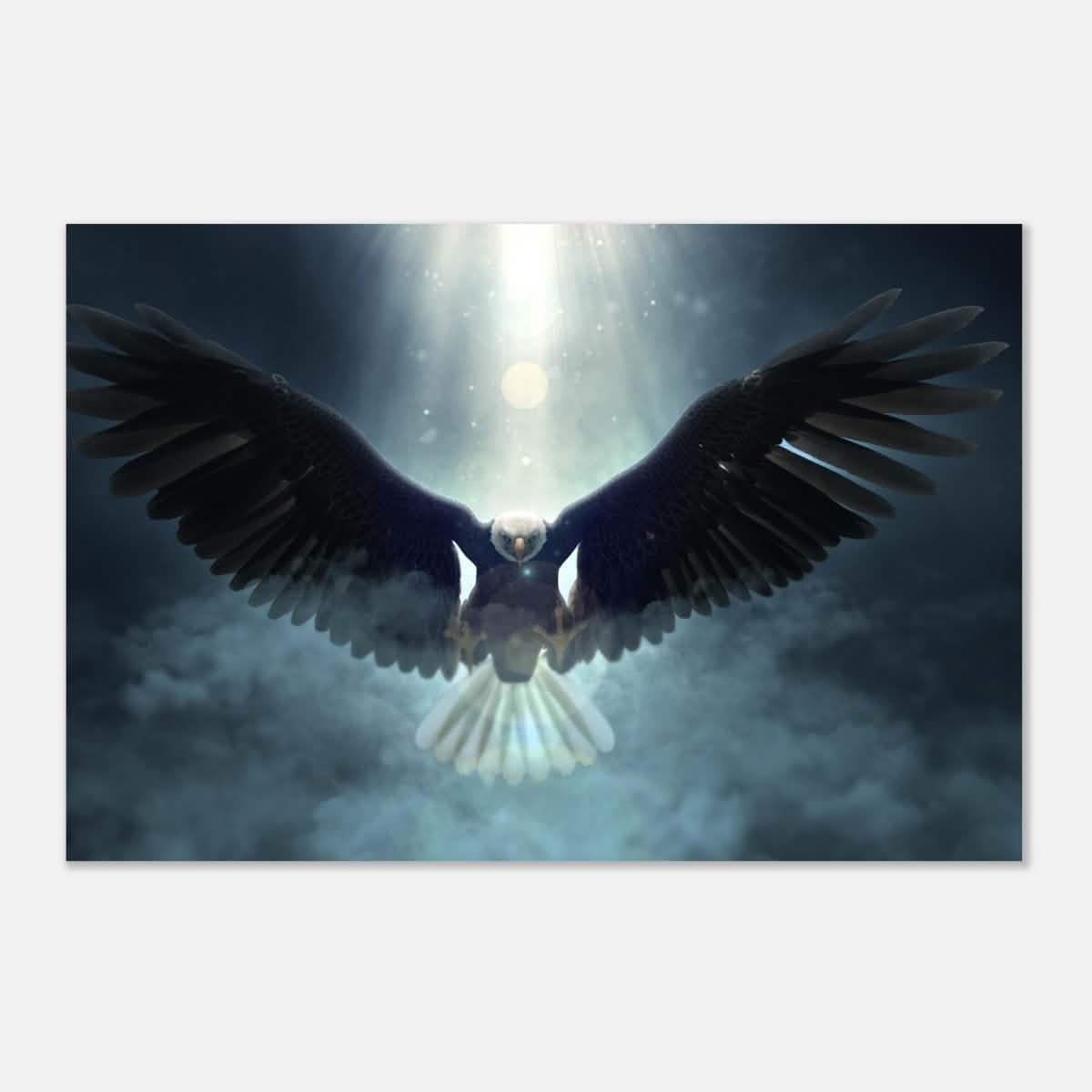 Animal Kingdom Wall art print collection | Eagle - Aluminum Print - 40x60 cm / 16x24″ -