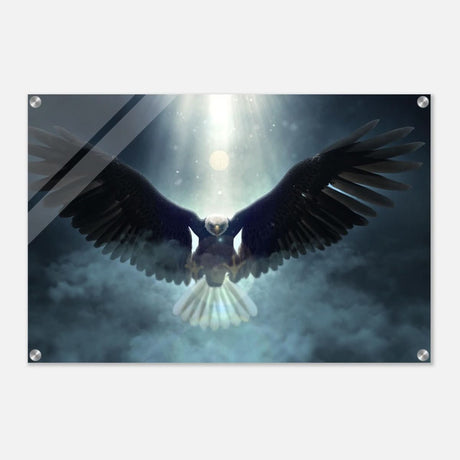 Animal Kingdom Wall art print collection | Eagle - Acrylic Print - 50x75 cm / 20x30″ -
