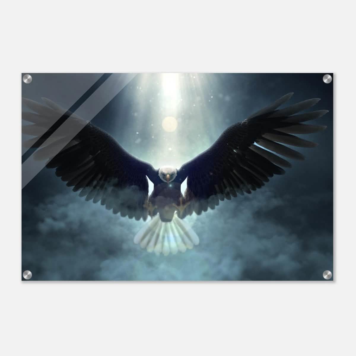 Animal Kingdom Wall art print collection | Eagle - Acrylic Print - 50x75 cm / 20x30″ -