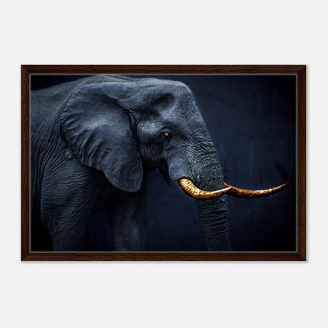 Animal Kingdom Wall art print collection | Elephant | Golden Tusk - Framed Canvas - 50x75 cm / 20x30″ - Dark wood frame