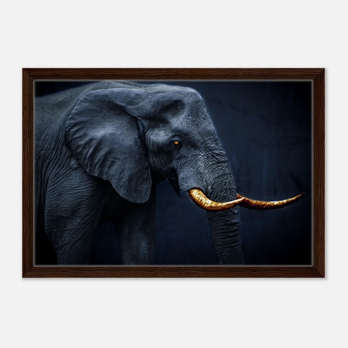 Animal Kingdom Wall art print collection | Elephant | Golden Tusk - Framed Canvas - 40x60 cm / 16x24″ - Dark wood frame