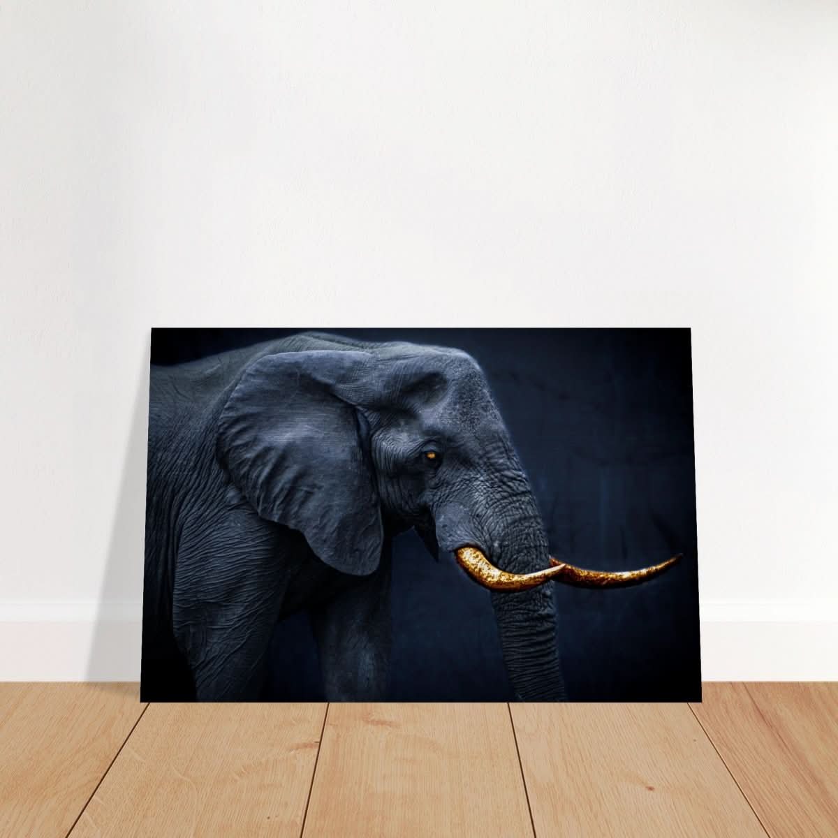 Animal Kingdom Wall art print collection | Elephant | Golden Tusk - Brushed Aluminum Print - 30x45 cm / 12x18″ -