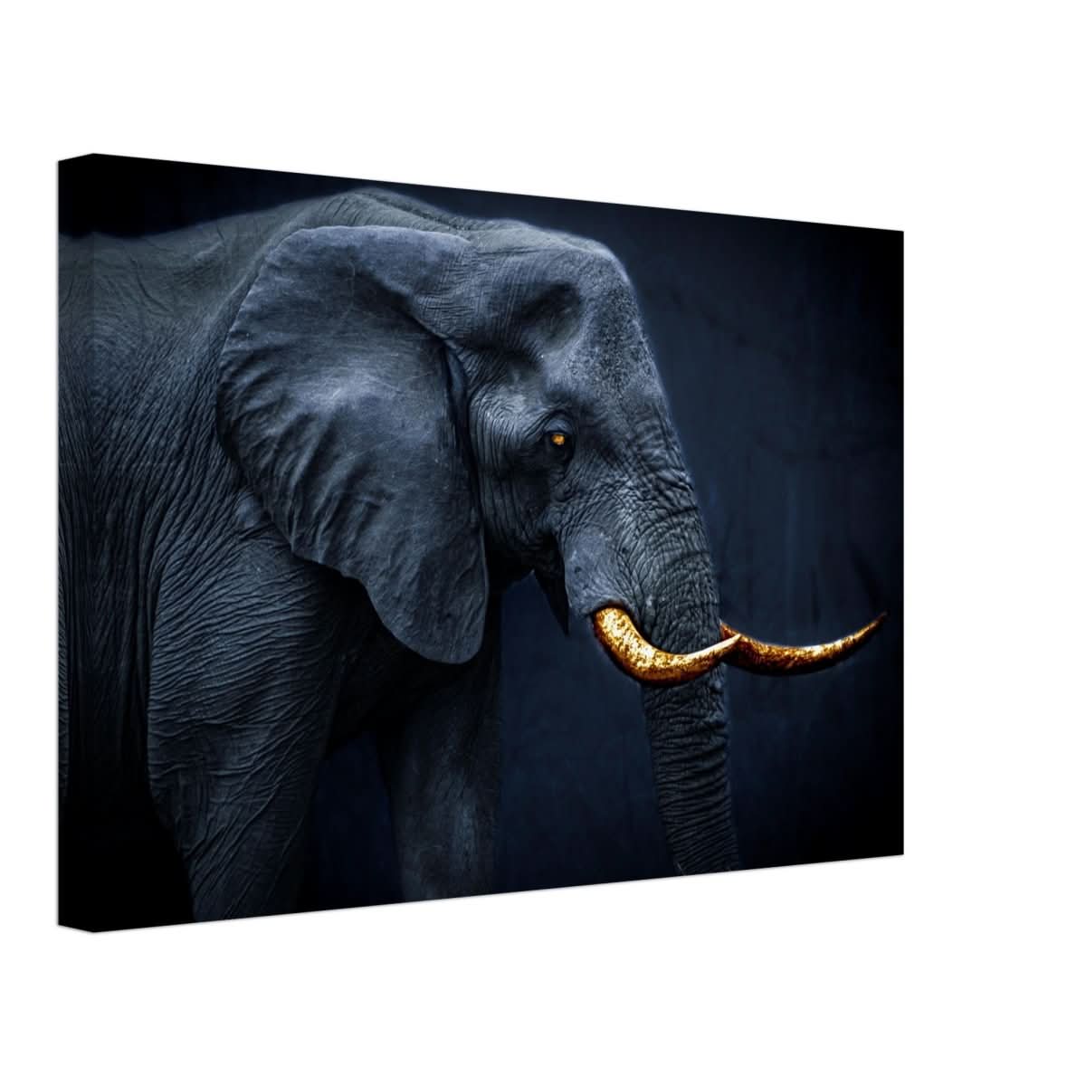 Animal Kingdom Wall art print collection | Elephant | Golden Tusk - Canvas - 30x45 cm / 12x18″ -