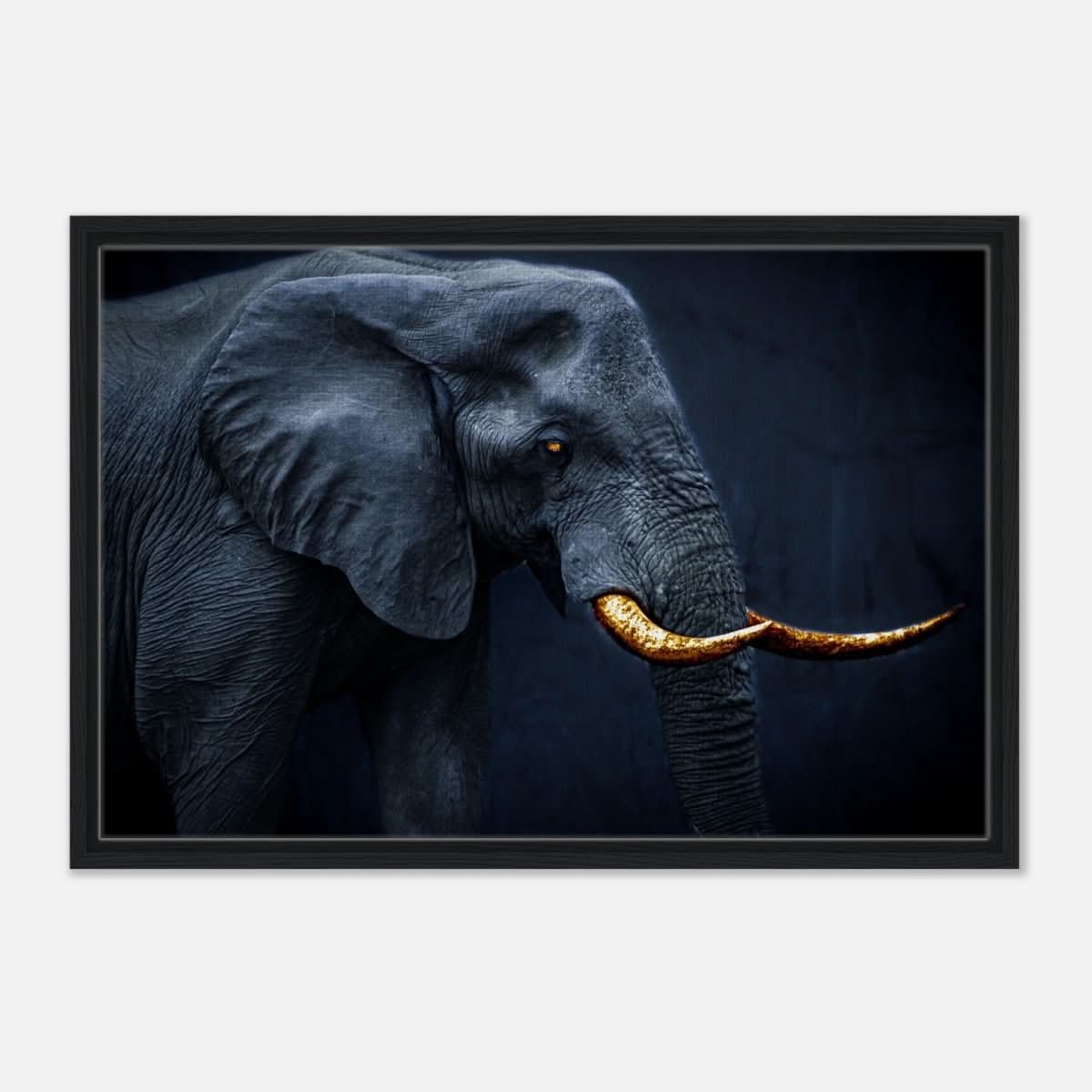 Animal Kingdom Wall art print collection | Elephant | Golden Tusk - Framed Canvas - 50x75 cm / 20x30″ - Black frame