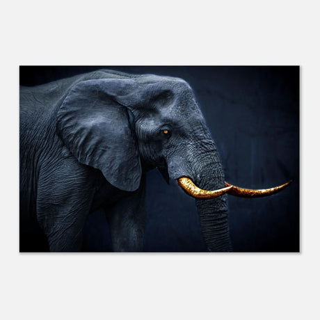 Animal Kingdom Wall art print collection | Elephant | Golden Tusk - Aluminum Print - 40x60 cm / 16x24″ -