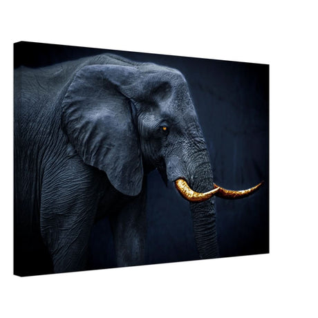 Animal Kingdom Wall art print collection | Elephant | Golden Tusk - Canvas - 40x60 cm / 16x24″ -