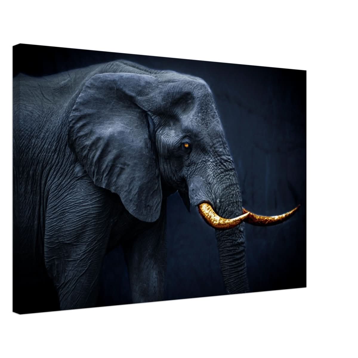 Animal Kingdom Wall art print collection | Elephant | Golden Tusk - Canvas - 50x75 cm / 20x30″ -