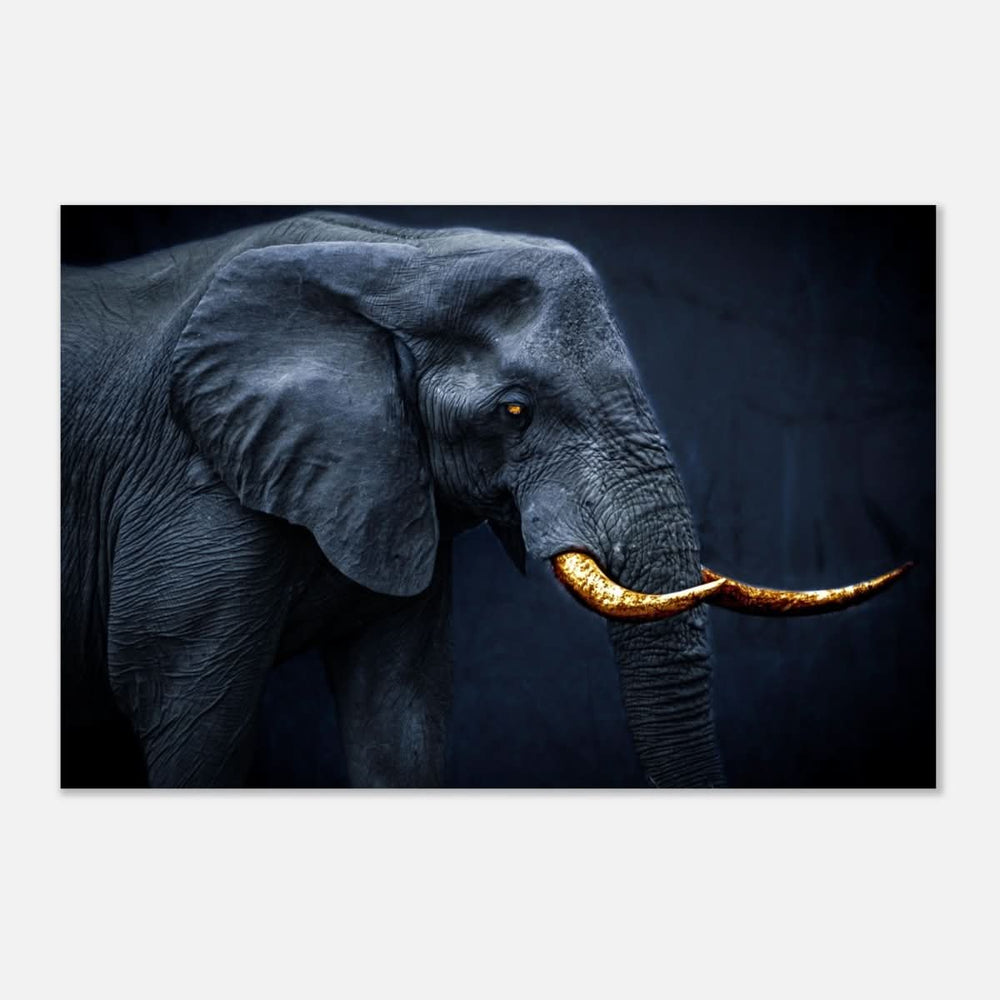 Animal Kingdom Wall art print collection | Elephant | Golden Tusk - Aluminum Print - 30x45 cm / 12x18″ -