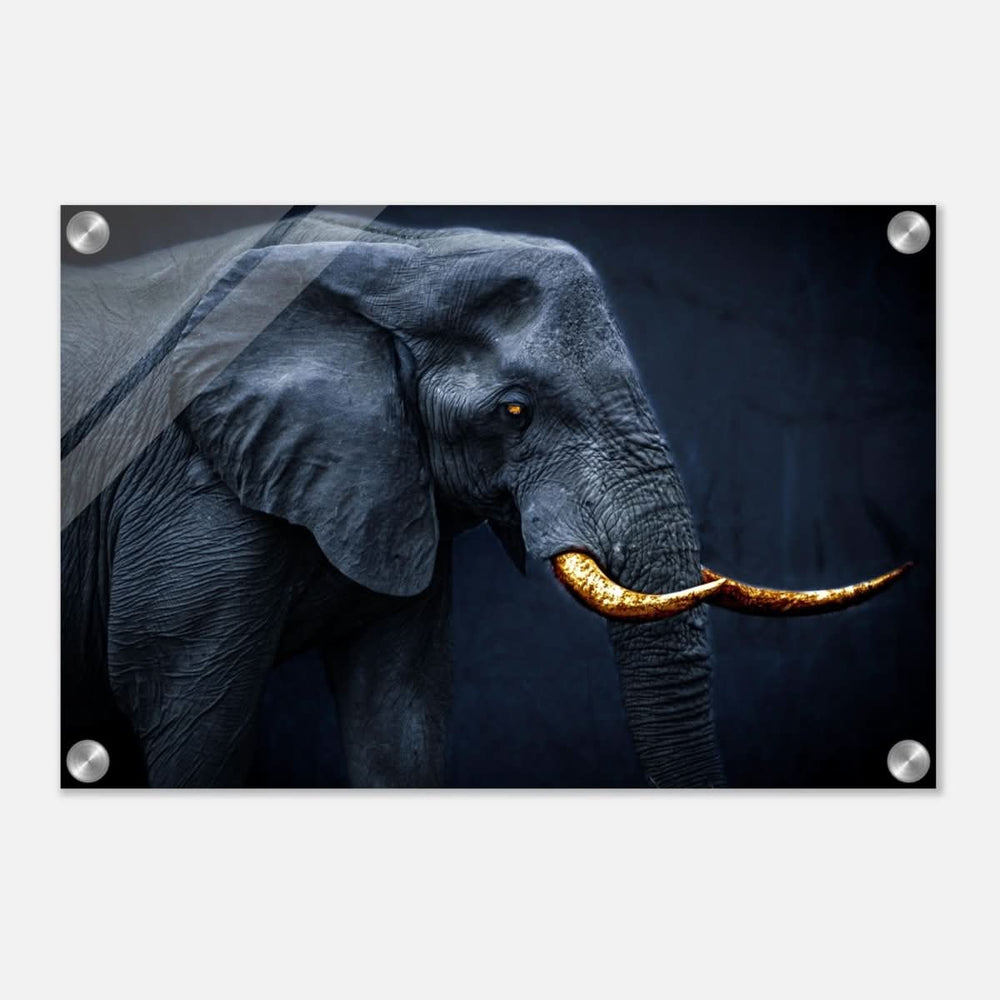 Animal Kingdom Wall art print collection | Elephant | Golden Tusk - Acrylic Print - 30x45 cm / 12x18″ -