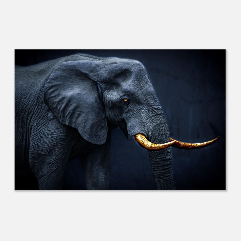 Animal Kingdom Wall art print collection | Elephant | Golden Tusk - Aluminum Print - 50x75 cm / 20x30″ -