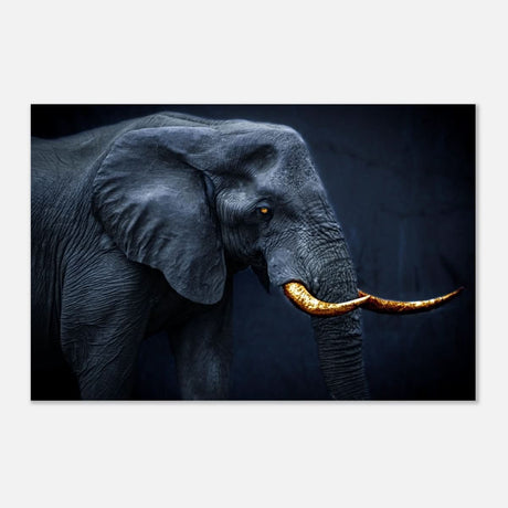 Animal Kingdom Wall art print collection | Elephant | Golden Tusk - Aluminum Print - 60x90 cm / 24x36″ -