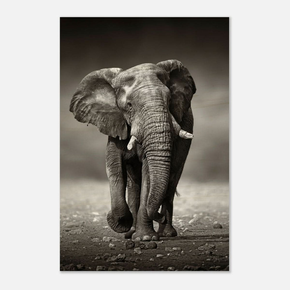 Animal Kingdom Wall art print collection | Elephant - Wood Prints - 30x45 cm / 12x18″ - 20 mm