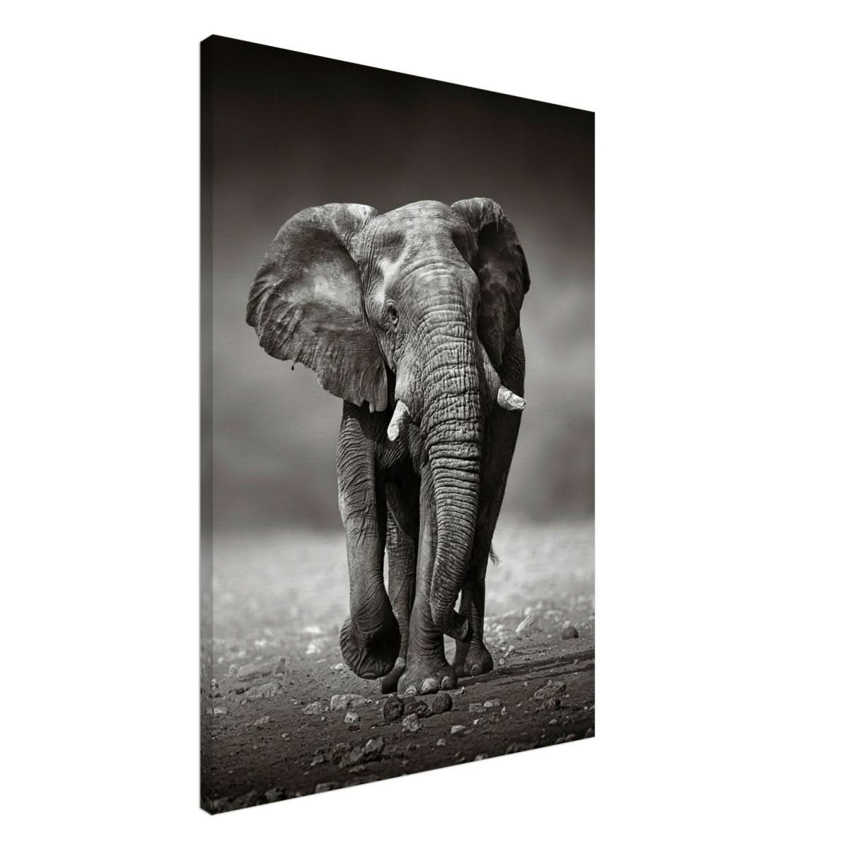 Animal Kingdom Wall art print collection | Elephant - Canvas - 70x100 cm / 28x40″ - Thick