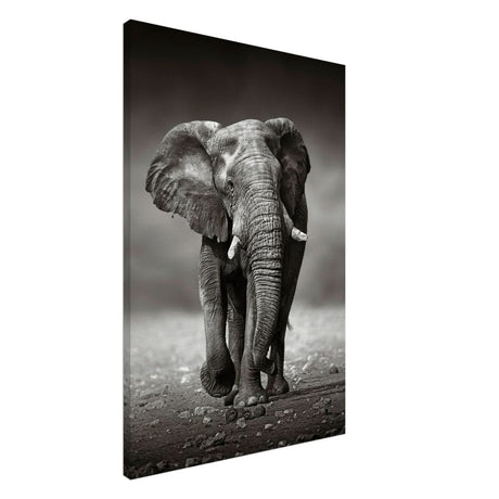 Animal Kingdom Wall art print collection | Elephant - Canvas - 60x90 cm / 24x36″ - Slim