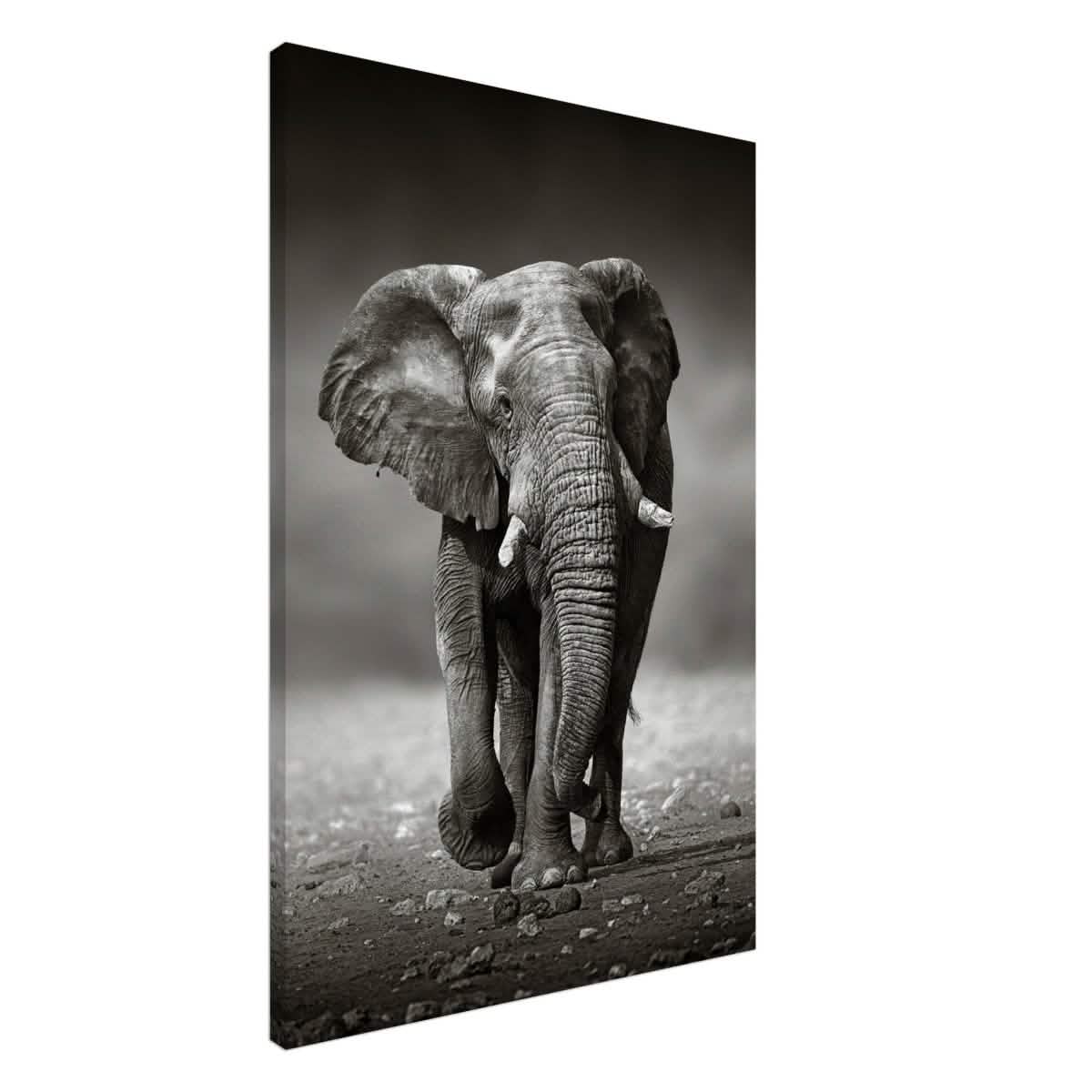 Animal Kingdom Wall art print collection | Elephant - Canvas - 60x90 cm / 24x36″ - Slim