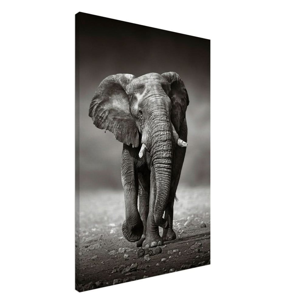 Animal Kingdom Wall art print collection | Elephant - Canvas - 60x90 cm / 24x36″ - Slim