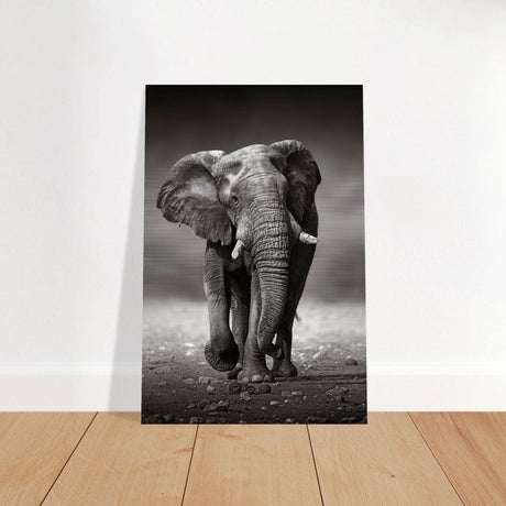 Animal Kingdom Wall art print collection | Elephant - Brushed Aluminum Print - 60x90 cm / 24x36″ -