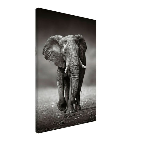 Animal Kingdom Wall art print collection | Elephant - Canvas - 40x60 cm / 16x24″ - Slim
