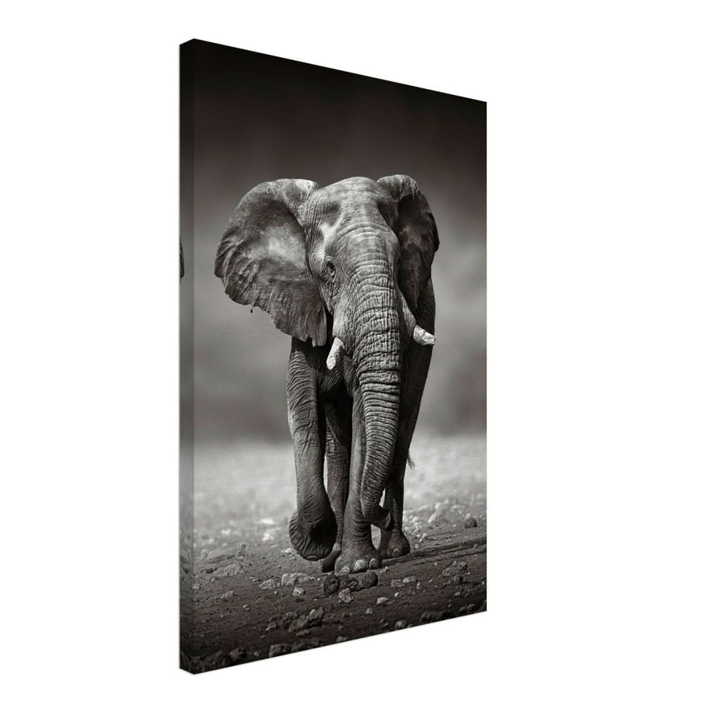 Animal Kingdom Wall art print collection | Elephant - Canvas - 40x60 cm / 16x24″ - Slim