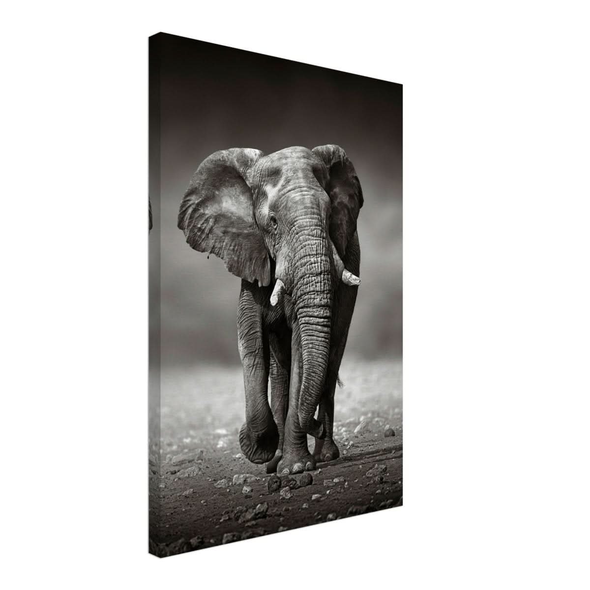 Animal Kingdom Wall art print collection | Elephant - Canvas - 40x60 cm / 16x24″ - Slim
