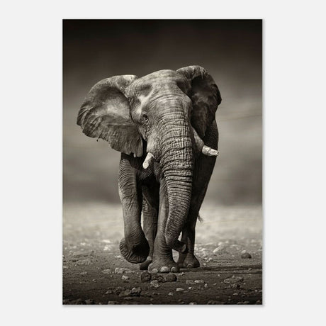 Animal Kingdom Wall art print collection | Elephant - Wood Prints - 70x100 cm / 28x40″ - 10 mm